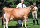 The Royal Connection: Queen Elizabeth II's Love for Cows