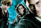 Harry Potter Cast: A Detailed Overview