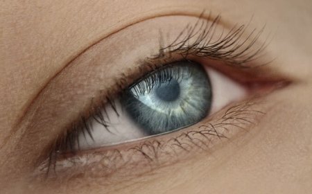 Lying Eyes: The Science Behind Blinking and Dishonesty