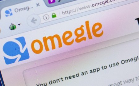 Omegle Porn: What It Is and How to Stay Safe