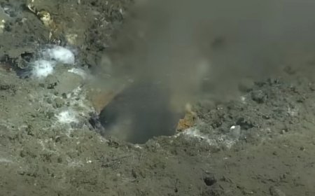 Scientists Discover Mysterious Leak in the Bottom of the Ocean