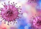 Human Metapneumovirus (HMPV): Symptoms, Treatment, Transmission, and Prevention