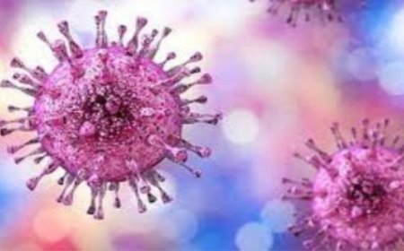 Human Metapneumovirus (HMPV): Symptoms, Treatment, Transmission, and Prevention